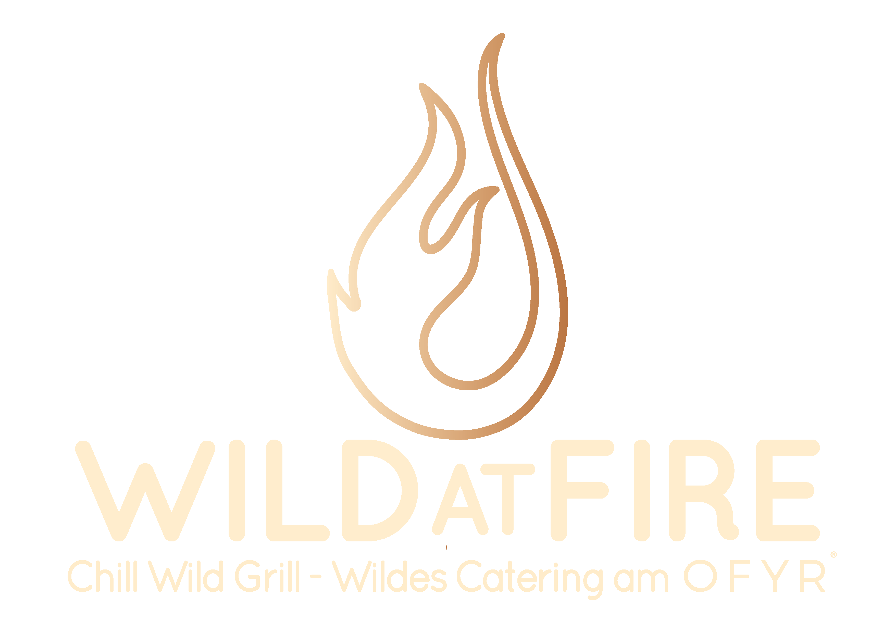 Logo WILDatFIRE